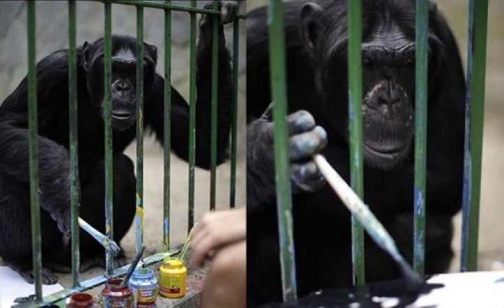 Mono se consagra como pintor en zoológico de Brasil