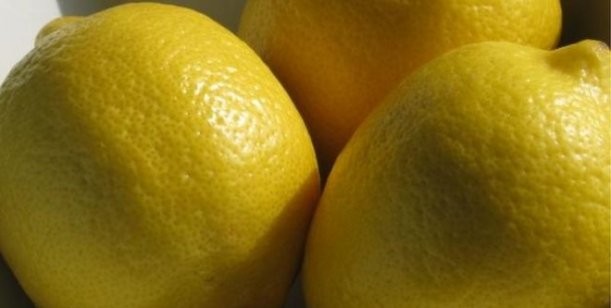 ¿Por qué Estados Unidos no quiso comprarle limones a Argentina en 16 años y ahora sí?