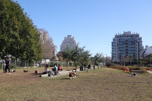 MACRI COLEGIALES