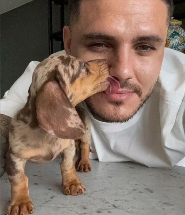 mauro icardi